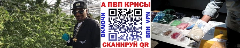 ГАШ Сясьстрой