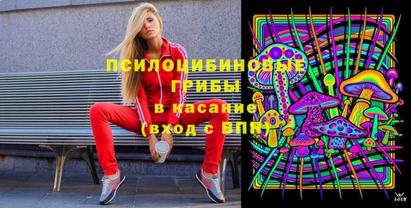 мдпв Магадан