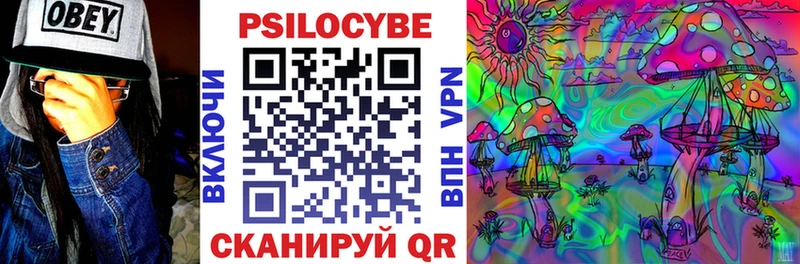 Купить где  Сясьстрой  Псилоцибиновые грибы прущие грибы 