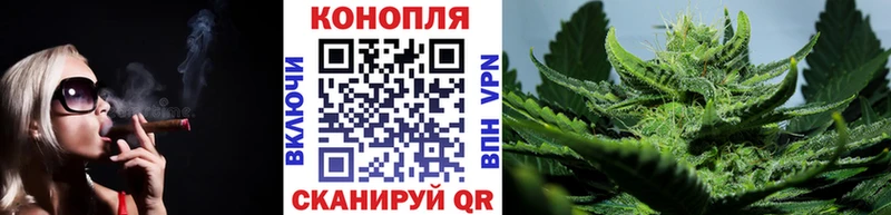 Конопля VHQ Сясьстрой